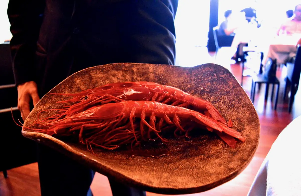 Feitoria Food Experience 1