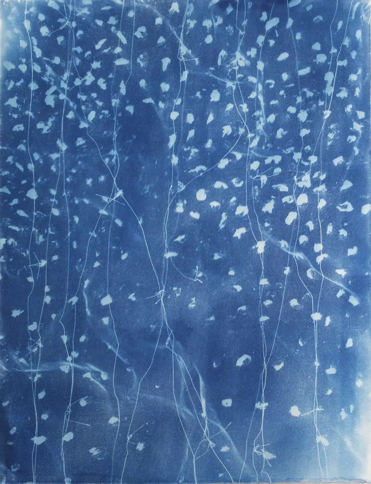 Gallery Scena. Riko Kinoshita Curtain #25 2021